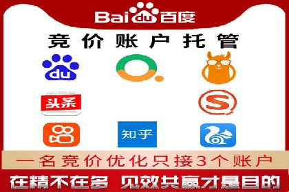 某行业巨头托管竞价sem的胜利之路